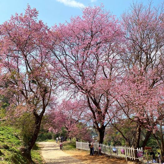 ครอบครัวในนิทาน : นายแพทย์ประเสริฐ ผลิตผลการพิมพ์