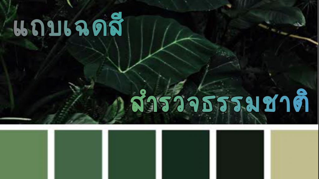 กิจกรรมสร้างสรรค์-แถบเฉดสีสำรวจธรรมชาติ