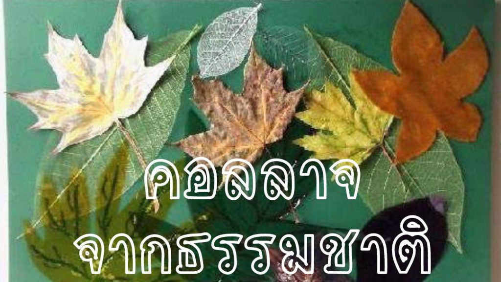 กิจกรรมสร้างสรรค์-คอลลาจจากธรรมชาติ