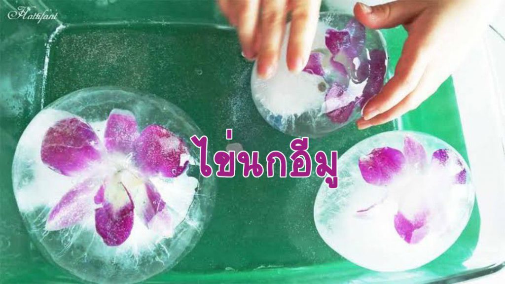 กิจกรรมสร้างสรรค์-ไข่นกอีมู