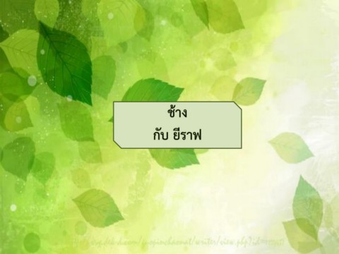 ช้างกับยีราฟ