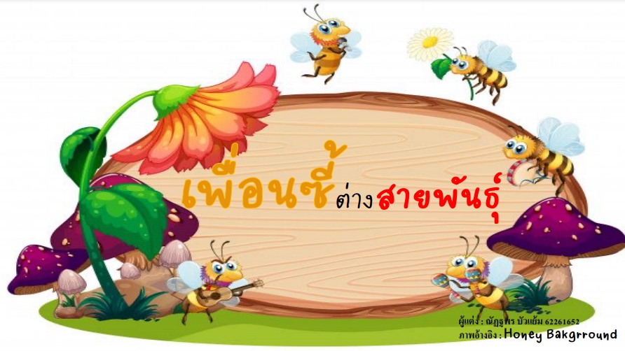 เพื่อนซี้ต่างสายพันธุ์