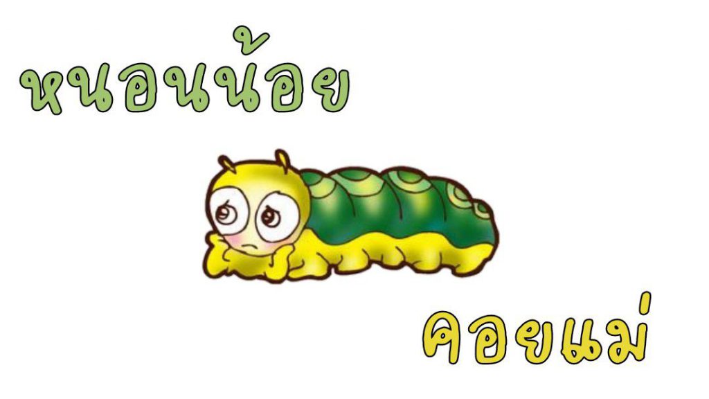 คำศัพท์น่ารู้ หนอนน้อยคอยแม่